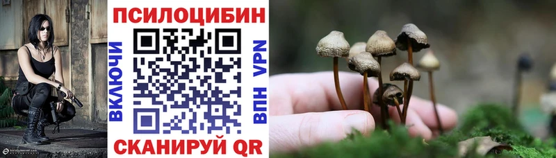 Купить закладки  Зубцов  Галлюциногенные грибы мухоморы 